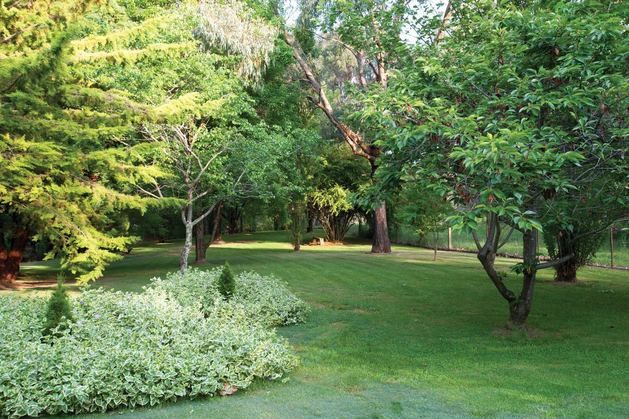 Clifton Gardens Bed & Breakfast - أورنج المظهر الخارجي الصورة